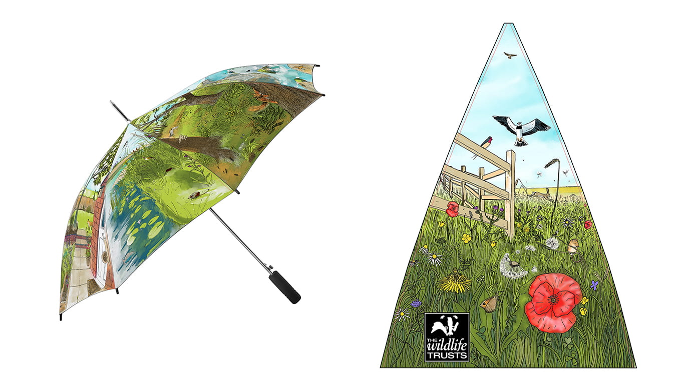 Year 3 | Promotional Campaign; Umbrella design. Drawn in pencil and pen, edited in Photoshop for colour.