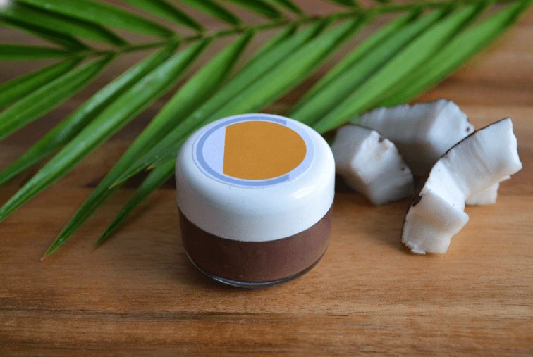 The ChemoCosmetics eyebrow pomade in the foreground, a palm frond and pieces of coconut shown behind it.