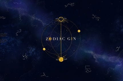 page thumbnail previewing Zodiac Gin Packaging Design