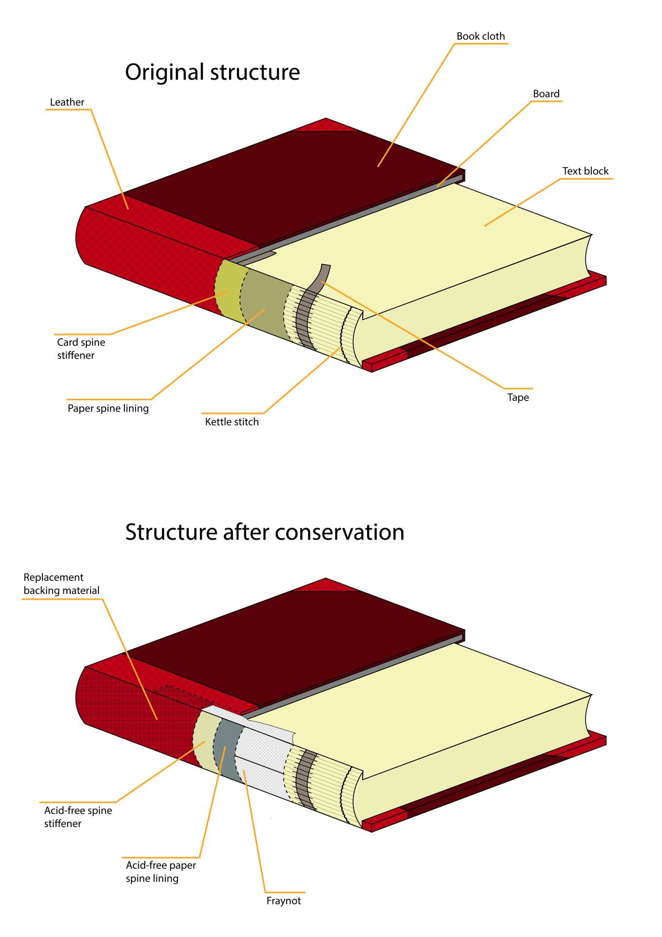 Diagrams of a 19th century book, showing the structure of the binding before and after conservation treatment.