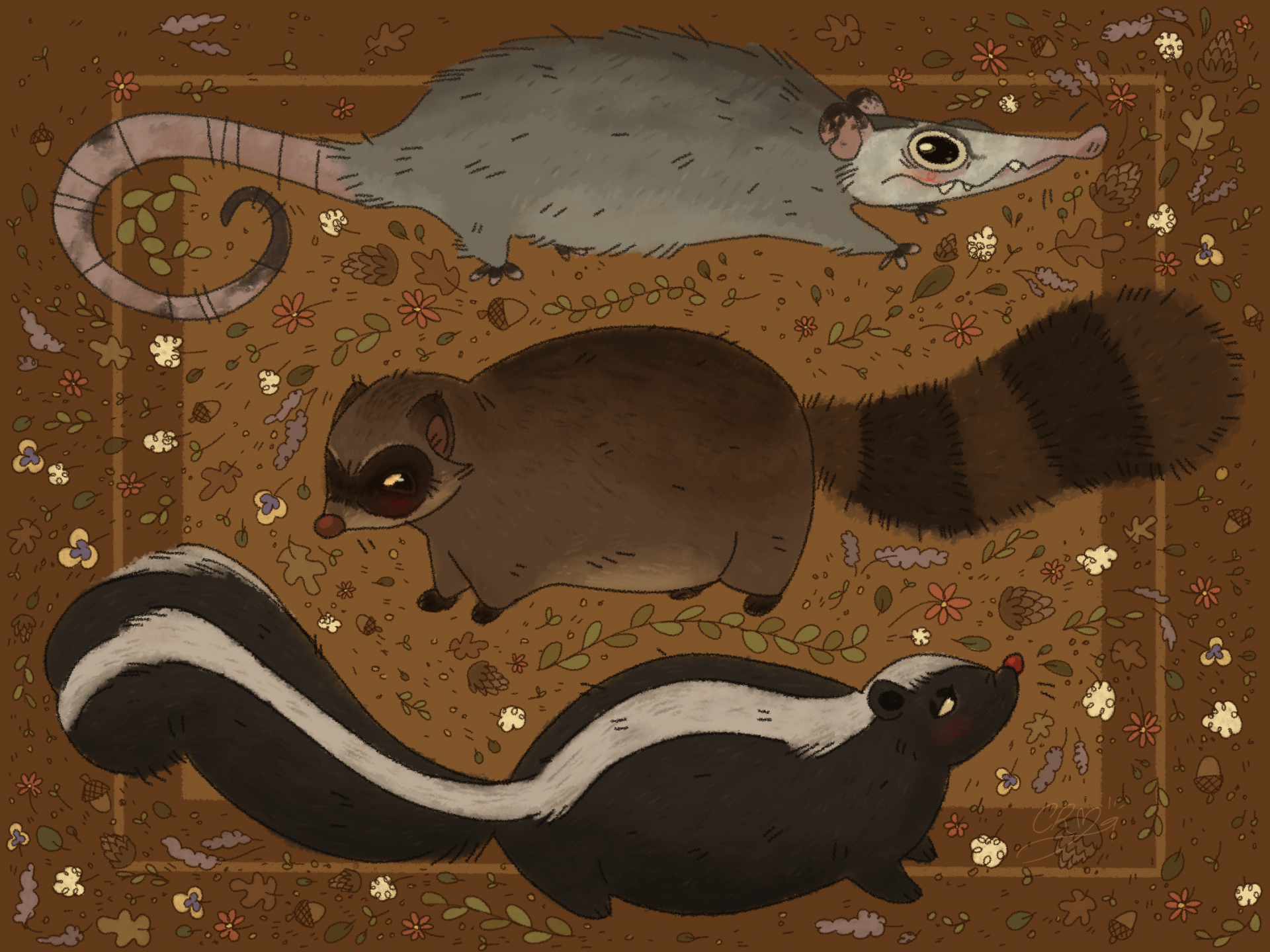 Under-appreciated Critters (Opossum, Raccoon and a Skunk).