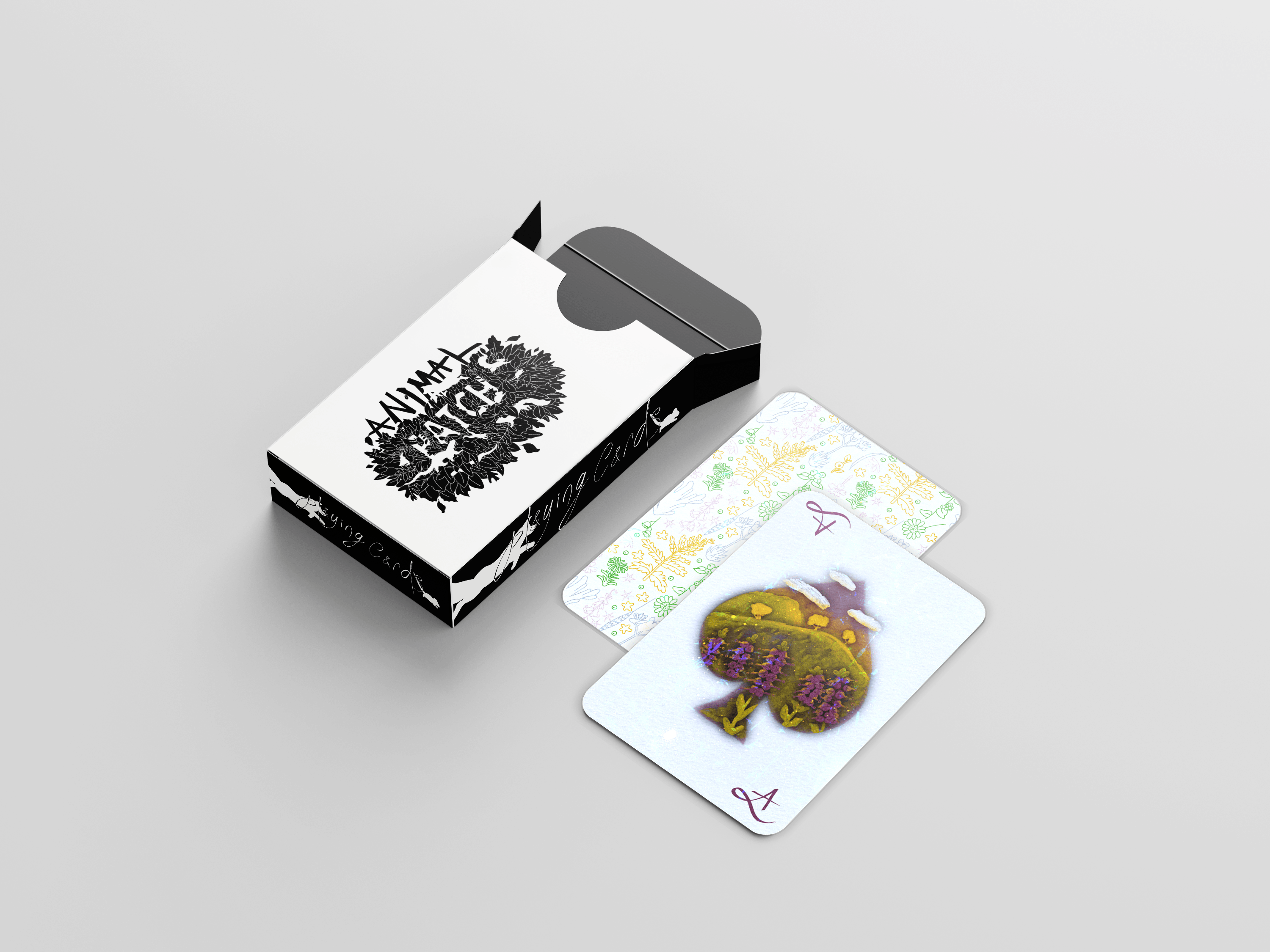 Illustrated Playing Cards and Packaging design.