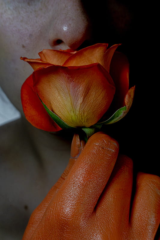 Model holding a orange rose up to face.