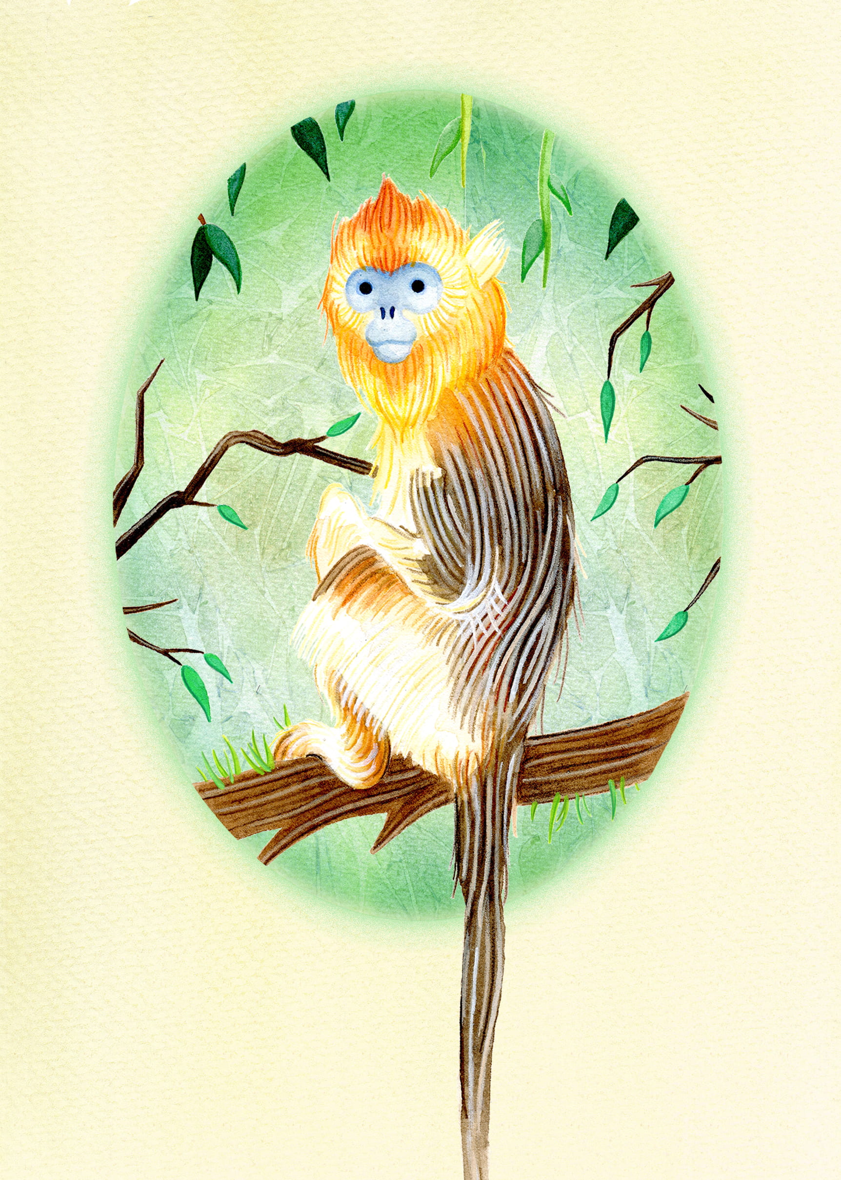 Painting of a Golden Snub Nosed Monkey, sitting on a tree branch.