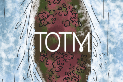 Logo for 'Totm' featuring a waterfall illustration